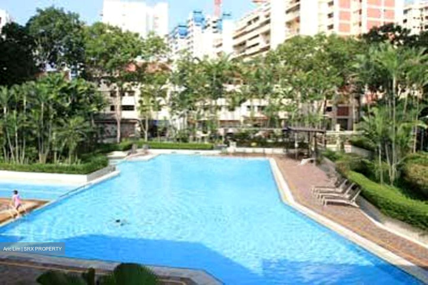 Evergreen Park (D19), Apartment #500150481